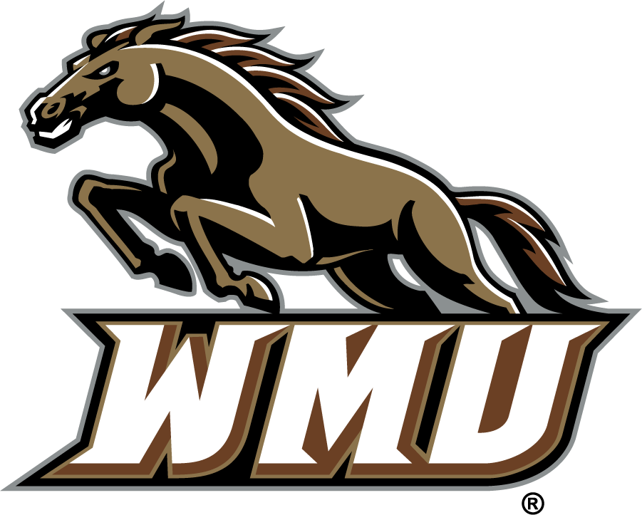 Western Michigan Broncos 1998-2016 Secondary Logo diy DTF decal sticker